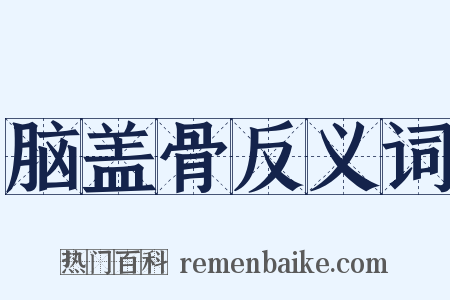 脑盖骨反义词是什么意思的图片